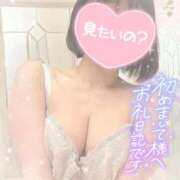 ヒメ日記 2025/06/07 17:33 投稿 なずな シャングリラ 呉〜桃源郷〜