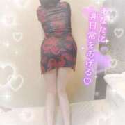 ヒメ日記 2025/09/30 12:04 投稿 なずな シャングリラ 呉〜桃源郷〜