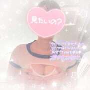 ヒメ日記 2025/11/05 02:45 投稿 なずな シャングリラ 呉〜桃源郷〜