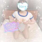 ヒメ日記 2025/11/08 03:35 投稿 なずな シャングリラ 呉〜桃源郷〜