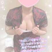 ヒメ日記 2025/11/09 03:28 投稿 なずな シャングリラ 呉〜桃源郷〜