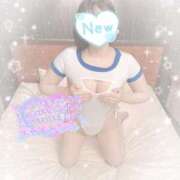 ヒメ日記 2025/11/15 02:45 投稿 なずな シャングリラ 呉〜桃源郷〜