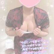 ヒメ日記 2025/11/17 03:47 投稿 なずな シャングリラ 呉〜桃源郷〜