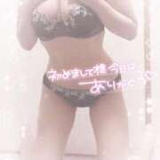 ヒメ日記 2025/11/19 15:41 投稿 なずな シャングリラ 呉〜桃源郷〜