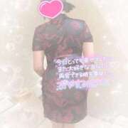 ヒメ日記 2025/12/12 02:48 投稿 なずな シャングリラ 呉〜桃源郷〜