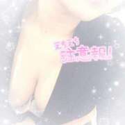 ヒメ日記 2025/12/15 12:05 投稿 なずな シャングリラ 呉〜桃源郷〜