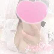 ヒメ日記 2025/12/20 12:05 投稿 なずな シャングリラ 呉〜桃源郷〜