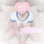 ヒメ日記 2025/12/25 15:32 投稿 なずな シャングリラ 呉〜桃源郷〜