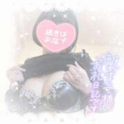 ヒメ日記 2025/12/29 16:20 投稿 なずな シャングリラ 呉〜桃源郷〜