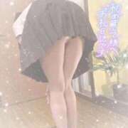 ヒメ日記 2025/12/30 11:00 投稿 なずな シャングリラ 呉〜桃源郷〜