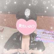 ヒメ日記 2025/12/31 03:56 投稿 なずな シャングリラ 呉〜桃源郷〜