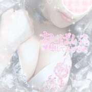 ヒメ日記 2025/12/31 12:04 投稿 なずな シャングリラ 呉〜桃源郷〜