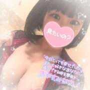 ヒメ日記 2026/01/15 00:04 投稿 なずな シャングリラ 呉〜桃源郷〜