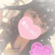 ヒメ日記 2026/01/16 13:43 投稿 なずな シャングリラ 呉〜桃源郷〜