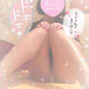 ヒメ日記 2026/01/19 13:01 投稿 なずな シャングリラ 呉〜桃源郷〜