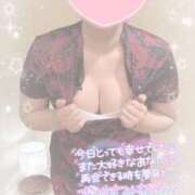 ヒメ日記 2026/01/24 00:19 投稿 なずな シャングリラ 呉〜桃源郷〜