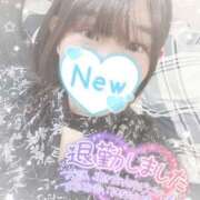 ヒメ日記 2026/01/30 02:52 投稿 なずな シャングリラ 呉〜桃源郷〜