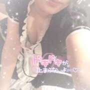 ヒメ日記 2026/02/05 10:30 投稿 なずな シャングリラ 呉〜桃源郷〜