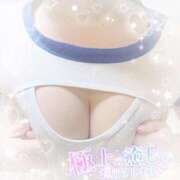 ヒメ日記 2026/02/09 10:30 投稿 なずな シャングリラ 呉〜桃源郷〜