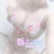 ヒメ日記 2026/03/07 12:05 投稿 なずな シャングリラ 呉〜桃源郷〜