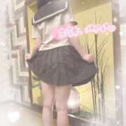 ヒメ日記 2024/12/09 12:10 投稿 なずな シャングリラ東広島～桃源郷～