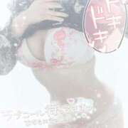 ヒメ日記 2025/04/28 12:07 投稿 なずな シャングリラ東広島～桃源郷～