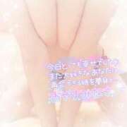 ヒメ日記 2025/05/07 02:45 投稿 なずな シャングリラ東広島～桃源郷～