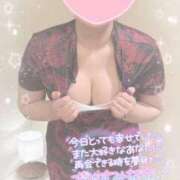 ヒメ日記 2025/09/09 02:45 投稿 なずな シャングリラ東広島～桃源郷～