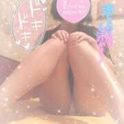 ヒメ日記 2025/09/09 10:30 投稿 なずな シャングリラ東広島～桃源郷～