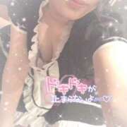 ヒメ日記 2025/10/27 10:30 投稿 なずな シャングリラ東広島～桃源郷～