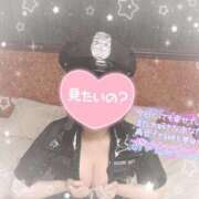 ヒメ日記 2025/11/01 03:00 投稿 なずな シャングリラ東広島～桃源郷～