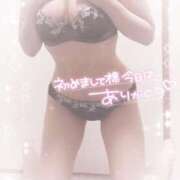 ヒメ日記 2025/11/03 19:47 投稿 なずな シャングリラ東広島～桃源郷～