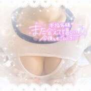 ヒメ日記 2025/11/09 18:48 投稿 なずな シャングリラ東広島～桃源郷～