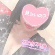 ヒメ日記 2025/11/19 10:30 投稿 なずな シャングリラ東広島～桃源郷～