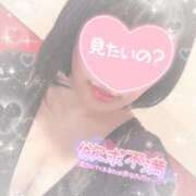 ヒメ日記 2025/12/30 10:30 投稿 なずな シャングリラ東広島～桃源郷～