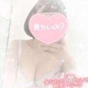 ヒメ日記 2026/01/11 10:30 投稿 なずな シャングリラ東広島～桃源郷～