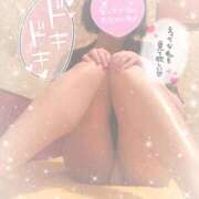 ヒメ日記 2026/02/24 10:45 投稿 なずな シャングリラ東広島～桃源郷～