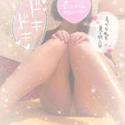 ヒメ日記 2026/03/26 10:45 投稿 なずな シャングリラ東広島～桃源郷～