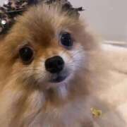 ヒメ日記 2025/12/31 15:30 投稿 りあら マリアージュ熊谷