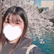 ヒメ日記 2025/04/06 17:30 投稿 如月すずか HANABI(福富町)