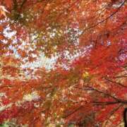 ゆきの 🩷パルコの本指様🩷 水戸人妻花壇