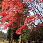 ゆきの 💗お礼💗 水戸人妻花壇