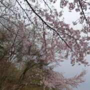 ヒメ日記 2026/04/09 17:45 投稿 ゆきの 水戸人妻花壇