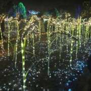 ヒメ日記 2024/12/24 08:16 投稿 メルセデス 鶯谷デッドボール