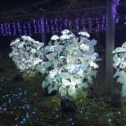 ヒメ日記 2025/01/04 22:49 投稿 メルセデス 鶯谷デッドボール