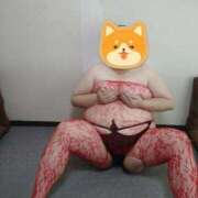 ヒメ日記 2025/06/21 08:29 投稿 メルセデス 鶯谷デッドボール