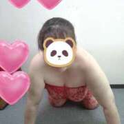 ヒメ日記 2025/11/26 15:48 投稿 メルセデス 鶯谷デッドボール