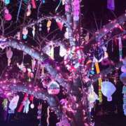 ヒメ日記 2026/02/25 09:42 投稿 メルセデス 鶯谷デッドボール