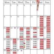 ヒメ日記 2025/12/13 22:49 投稿 芽乃 夕月