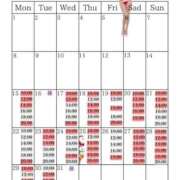 ヒメ日記 2025/12/14 23:19 投稿 芽乃 夕月